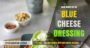 Blue Cheese Dressing Fat Content: A Nutritional Breakdown