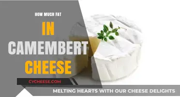 Camembert Cheese Fat Content: A Nutritional Breakdown and Health Insights