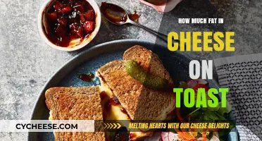 Cheese on Toast: Uncovering the Fat Content in Your Favorite Snack