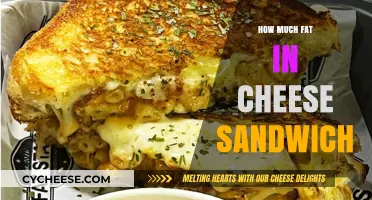Cheese Sandwich Fat Content: Uncovering the Caloric Truth in Every Bite