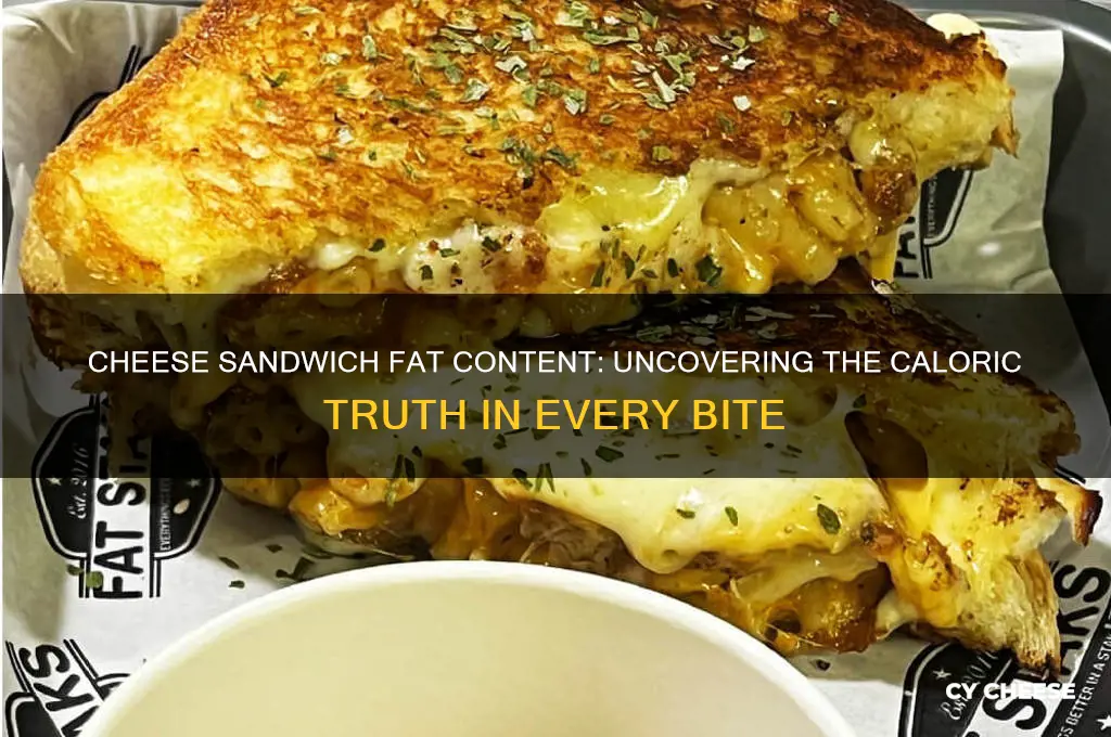 how much fat in cheese sandwich