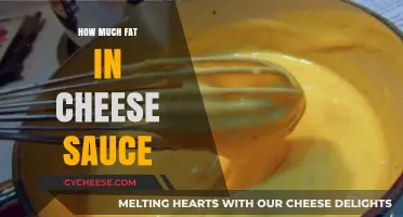 Cheese Sauce Fat Content: Uncovering the Truth Behind the Creamy Delight