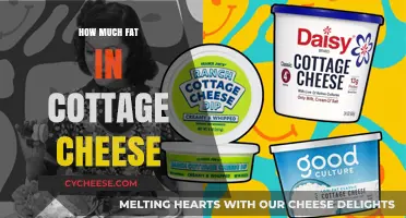 Cottage Cheese Fat Content: A Nutritional Breakdown and Health Benefits