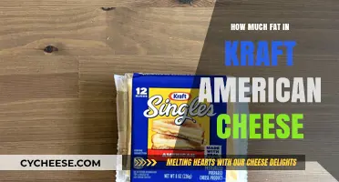 Kraft American Cheese Fat Content: A Nutritional Breakdown