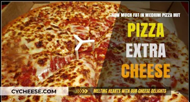 Extra Cheese Pizza Hut Pizza: Uncovering the Fat Content in a Medium Slice