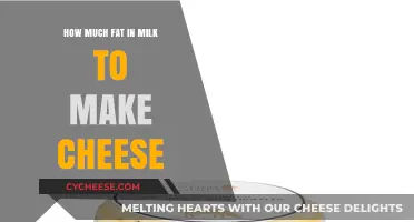 Understanding Milk Fat Content for Perfect Cheese Making at Home