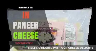 Paneer Cheese Fat Content: Understanding Nutritional Value and Health Impact