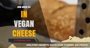 Vegan Cheese Fat Content: Uncovering the Truth Behind Plant-Based Options