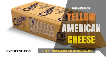 Yellow American Cheese Fat Content: Uncovering the Truth in Every Slice
