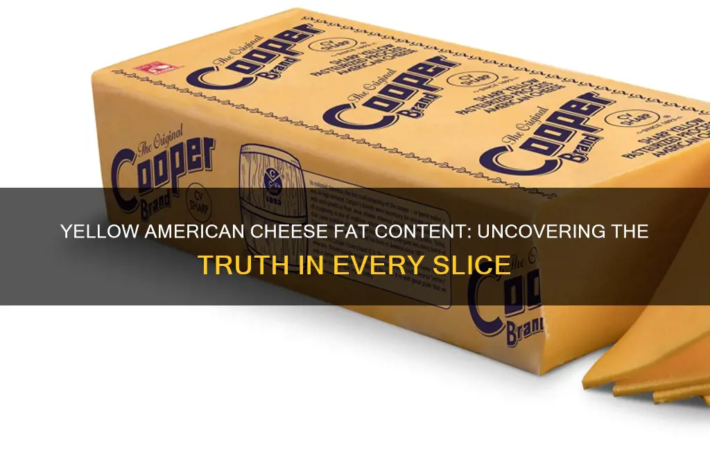 how much fat in yellow american cheese