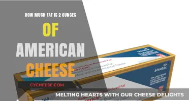 Understanding the Fat Content in 2 Ounces of American Cheese