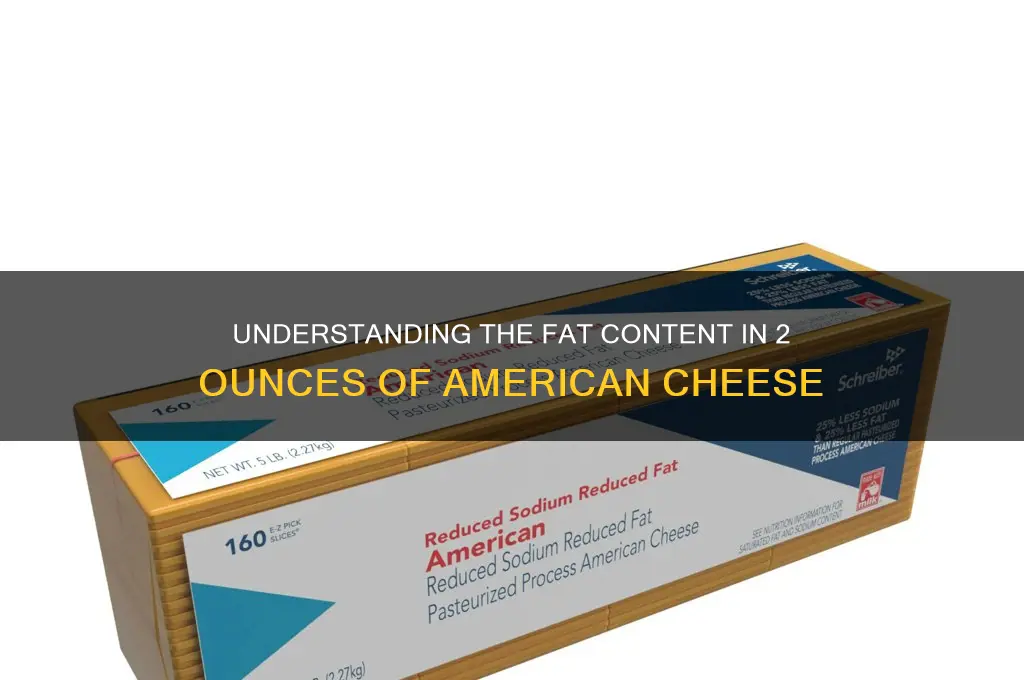 how much fat is 2 ounces of american cheese