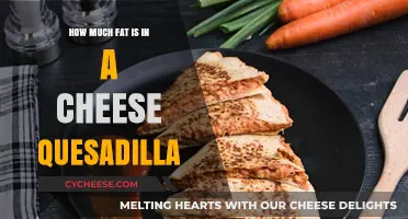 Cheese Quesadilla Fat Content: Unveiling the Truth Behind Your Favorite Snack