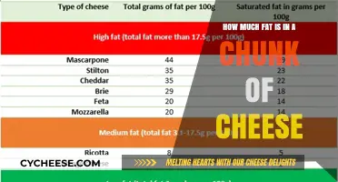 Uncovering the Fat Content in a Chunk of Cheese: A Nutritional Breakdown