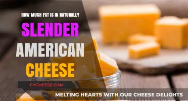 Naturally Slender American Cheese: Uncovering Its Fat Content and Nutritional Value