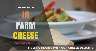 Parmesan Cheese Fat Content: Uncovering the Nutritional Facts