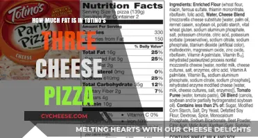 Totino's Three Cheese Pizza Fat Content: A Nutritional Breakdown