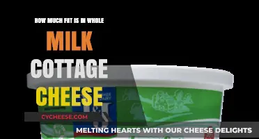 Whole Milk Cottage Cheese Fat Content: What You Need to Know