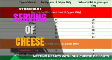 Cheese Fat Content: Uncovering the Truth in Every Serving