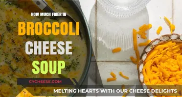 Broccoli Cheese Soup Fiber Content: A Nutritional Breakdown