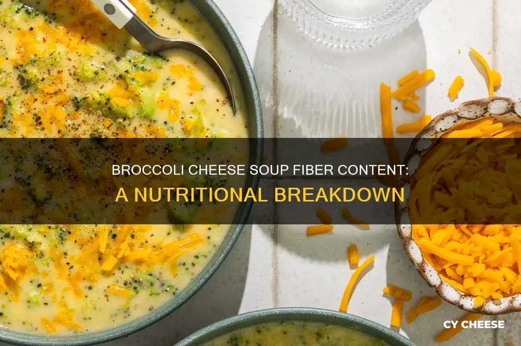 how much fiber in broccoli cheese soup