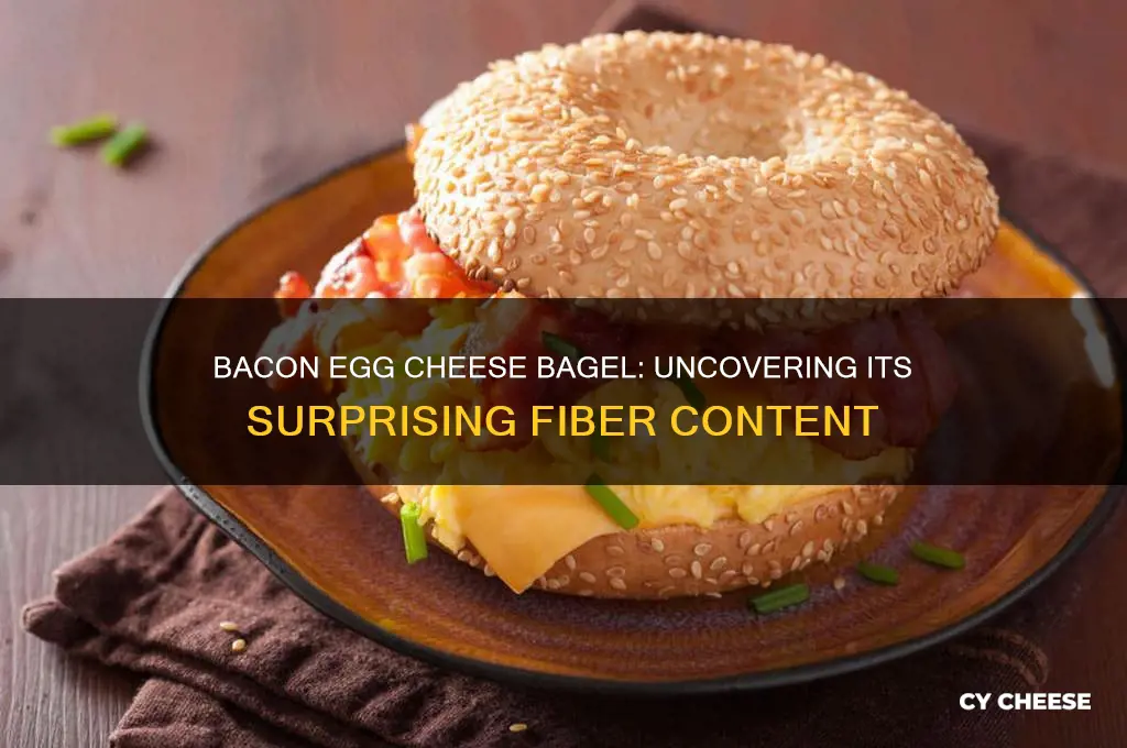 how much fiber is in a bacon egg cheese bagel