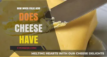 Folic Acid in Cheese: Nutritional Benefits and Content Explained
