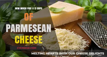 Cost of 1 1/2 Cups Parmesan Cheese: Budget-Friendly Tips