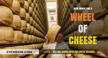 Wheel of Cheese Cost: Factors Affecting Price and Value