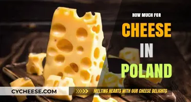 Cheese Prices in Poland: A Comprehensive Guide to Costs and Varieties