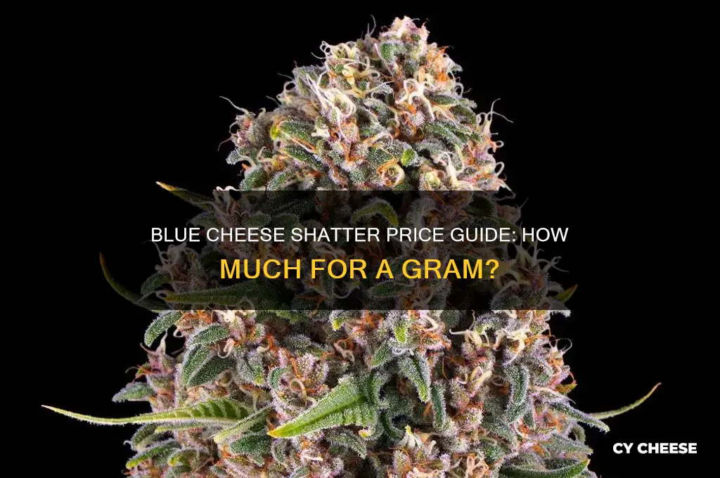 how much for gram blue cheese shatter
