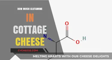 Glutamine Content in Cottage Cheese: A Nutritional Breakdown