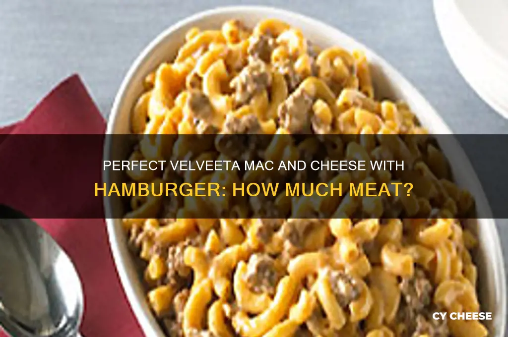 how much hamburger for velveeta macaroni cheese and hamburger recipe