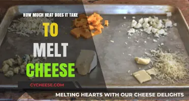 Melting Cheese: Understanding the Heat Required for Perfect Gooeyness