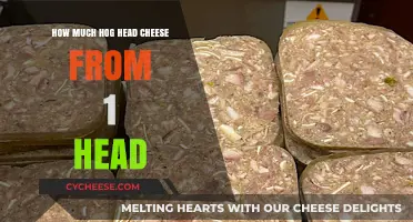 Making Hog Head Cheese: Yield and Recipe from One Pig Head