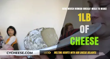 Crafting Cheese from Breast Milk: Quantities for 1lb Revealed