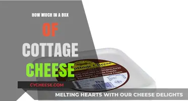 Cottage Cheese Box Sizes: Understanding Portions and Serving Amounts