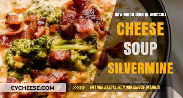 Iron Content in Broccoli Cheese Soup: Silvermine Recipe Analysis