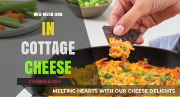 Cottage Cheese Iron Content: Unveiling Nutritional Benefits and Facts