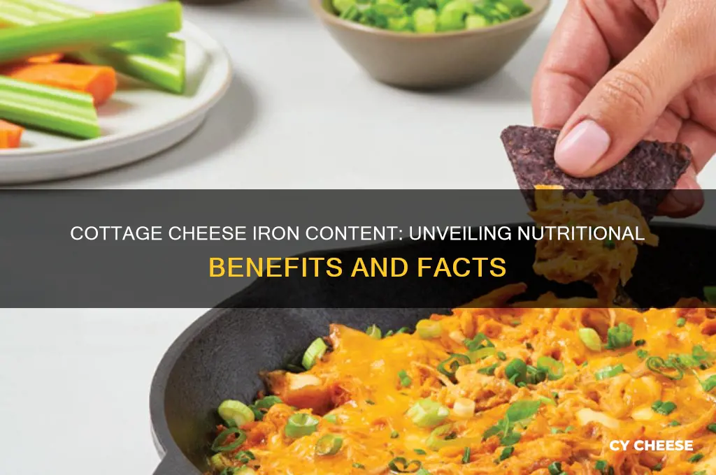 how much iron in cottage cheese