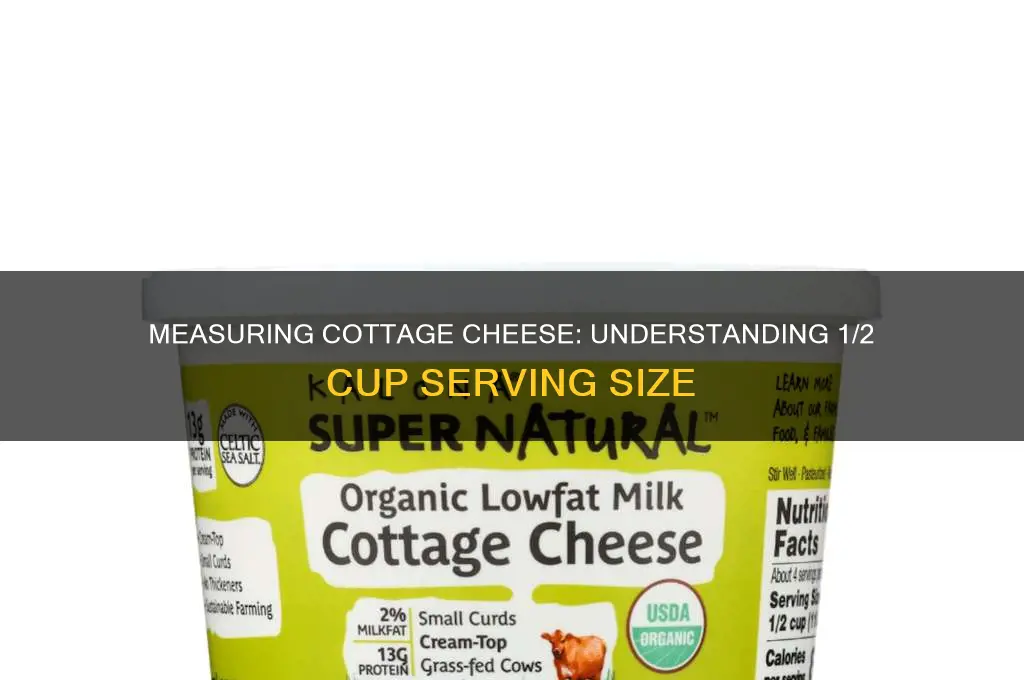 how much is 1 2 cup of cottage cheese