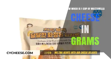 Mozzarella Cheese Measurement Guide: 1 Cup in Grams Explained