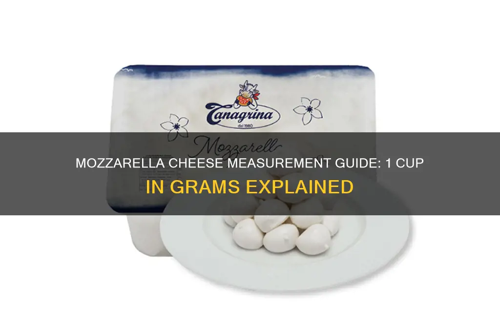 how much is 1 cup of mozzarella cheese in grams