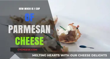 Measuring Parmesan Cheese: How Much is 1 Cup in Weight?