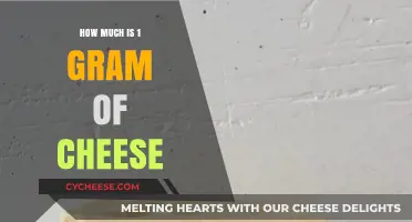 Understanding the Value: How Much Does 1 Gram of Cheese Cost?