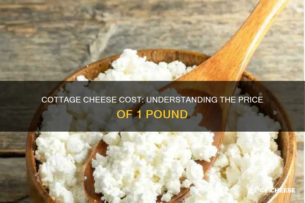how much is 1 lb of cottage cheese