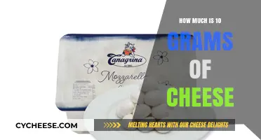 Understanding the Value and Uses of 10 Grams of Cheese