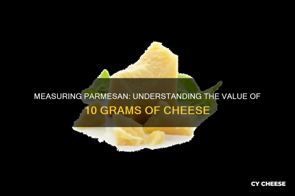 how much is 10 grams of parmesan cheese