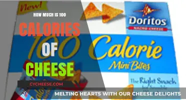 Understanding Portion Sizes: What Does 100 Calories of Cheese Look Like?