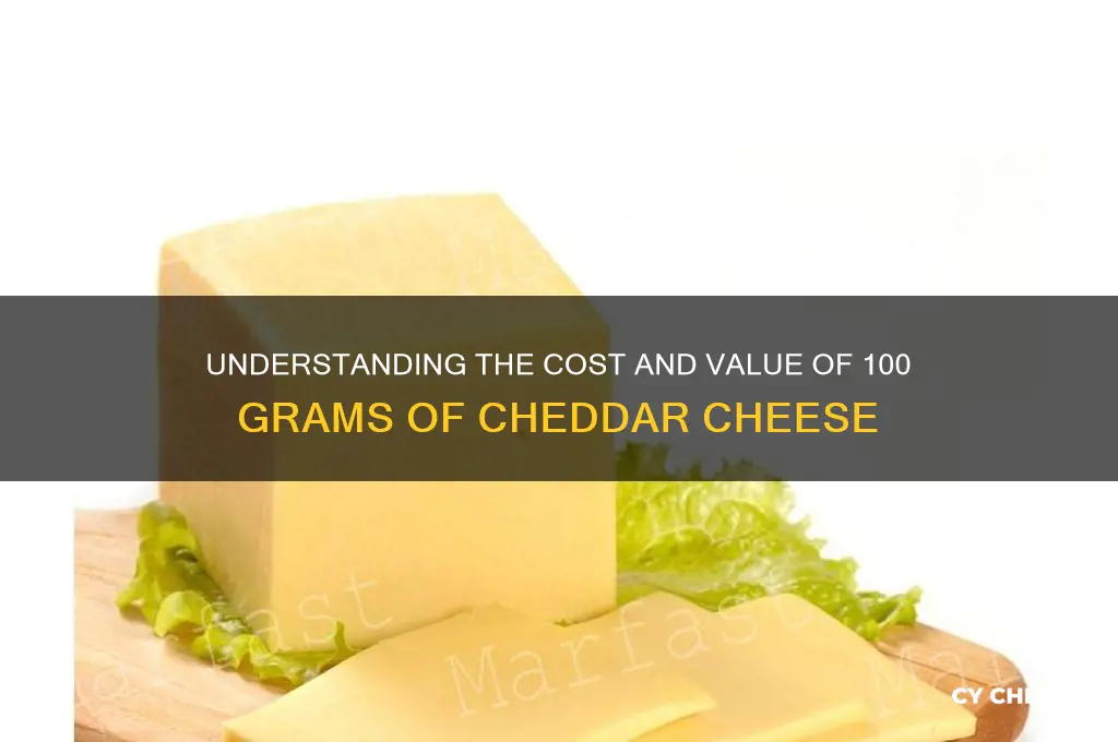 how much is 100 grams of cheddar cheese